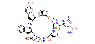 Nostopeptin BN920